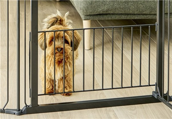 Safe construction for puppies – DogSpace