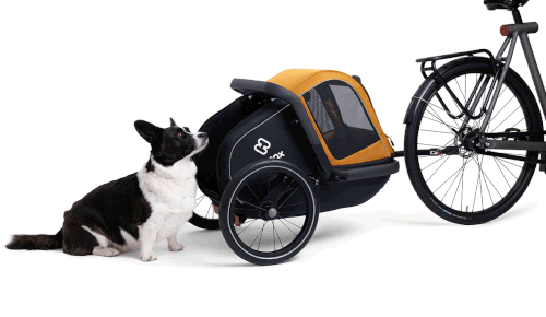 low entry in a bike trailer for small dogs