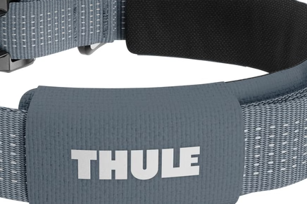 Reflective details on dog collar