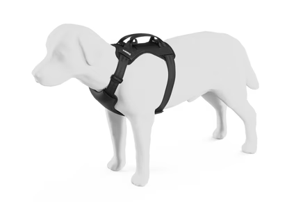 Thule Cappy car harness for dogs