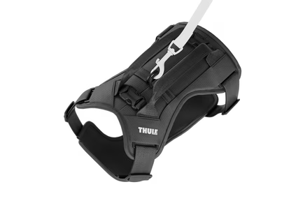 Thule Cappy harness with leash attachment for walks