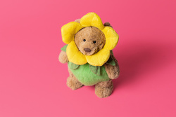 Jellycat - Bartholomew Bear Daffodil Outfit