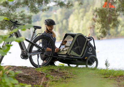 Bicycle trailer for a dog - Hamax Pluto M 35 kg - Green / Black