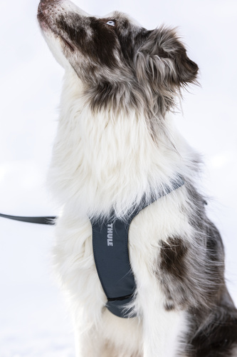 Thule - Dart harness XS, dark slate