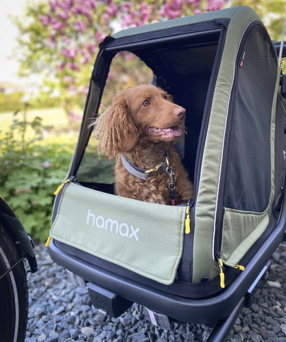 Bicycle trailer for a dog - Hamax Pluto M 35 kg - Green / Black