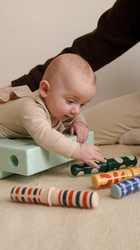 MODU - 5x Rattle Pegs