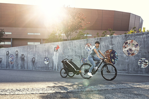 Thule Chariot Lite 2 Agave-Black