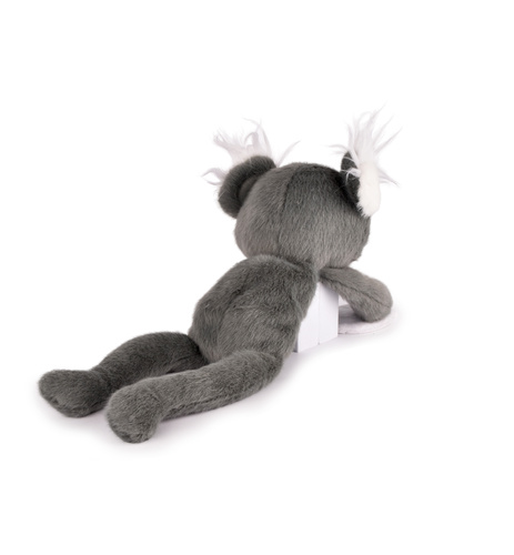 DOUDOU - magnetic plush Podcoll Koala, Histoire d'Ours, 30 cm, grey