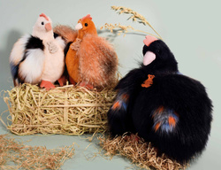 DOUDOU – Poulette plush chicken, Histoire d'Ours, 28 cm, black