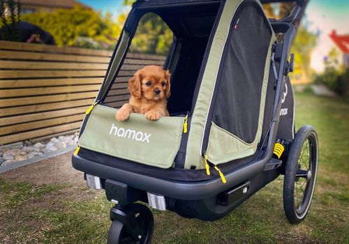 Bicycle trailer for a dog - Hamax Pluto M 35 kg - Green / Black
