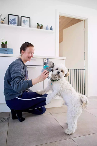 DogSpace - Lucky Extending Dog Gate, Black (62.5-106cm)