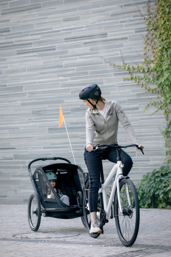 Hamax - Bike trailer for kids BREEZE + Jogger wheel, double - Back