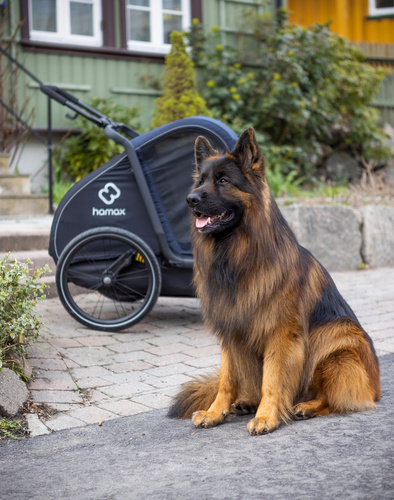 Bicycle trailer for a dog - Hamax Pluto L 45 kg - Blue / Black