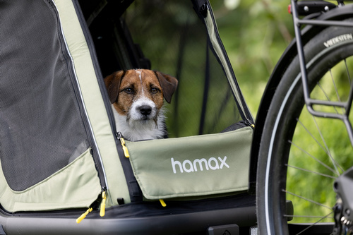 Bicycle trailer for a dog - Hamax Pluto M 35 kg - Green / Black