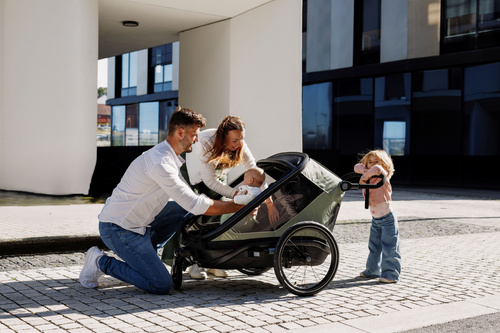 Hamax - Outback Next Bike Trailer, double, dusty green