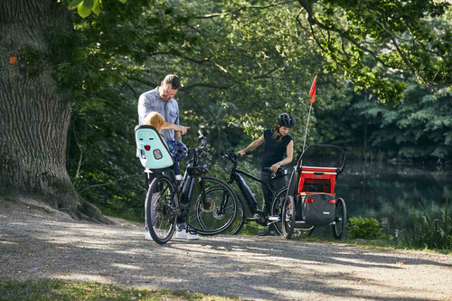 THULE Yepp Nexxt Maxi Frame Mounted - Child bike seat - Mint Green