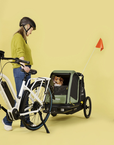 Bicycle trailer for a dog - Hamax Pluto M 35 kg - Green / Black