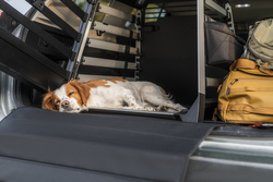 THULE - Allax dog crate bumper protector, standard