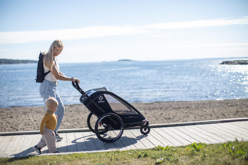 Hamax - Bike trailer for kids BREEZE, double- Back