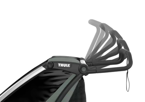 Thule Chariot Lite 1 Agave-Black