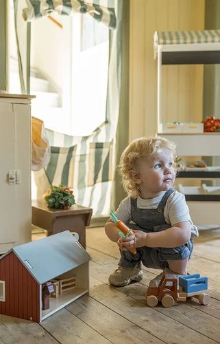 Kid's Concept - AIDEN Farm