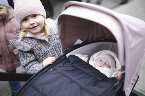 Thule Shine - Bassinet