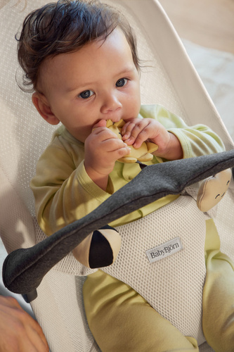 BABYBJORN - toy for bouncer - Sunny Friends