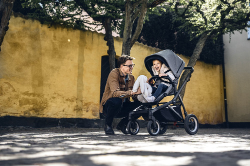 Thule Sleek + Bassinet + Main Seat - Grey Melange on Black