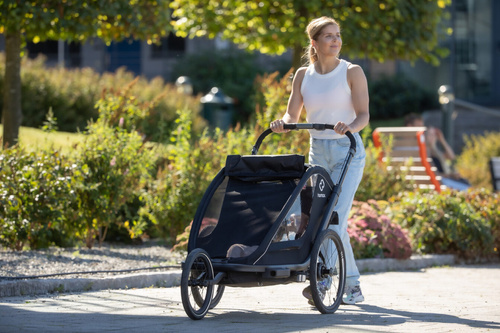 Hamax - Bike trailer for kids BREEZE, double- Back