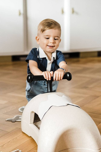 SCOOTANDRIDE - My First Ewolucyjny jeździk pchacz 3w1 6 m+ Sand