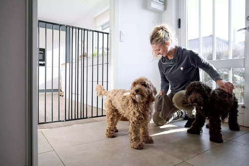 DogSpace - Charlie Extra Tall Extending Dog Gate, Black (63.5-107cm)