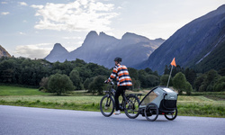 Hamax - Outback Next Bike Trailer, double, dusty green
