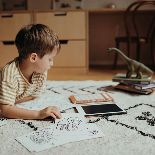 Kidywolf – illuminated drawing tablet KIDYDRAW MINI, dinosaurs