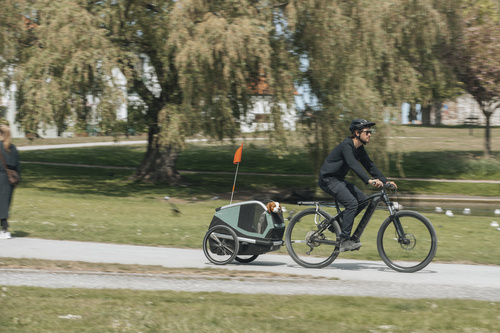 Bicycle trailer for a dog - Thule Bexey L up to 45 kg - Haze green