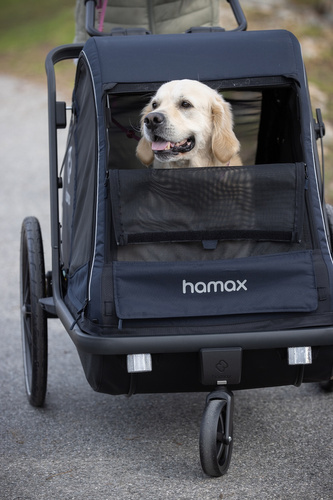 Bicycle trailer for a dog - Hamax Pluto L 45 kg - Blue / Black