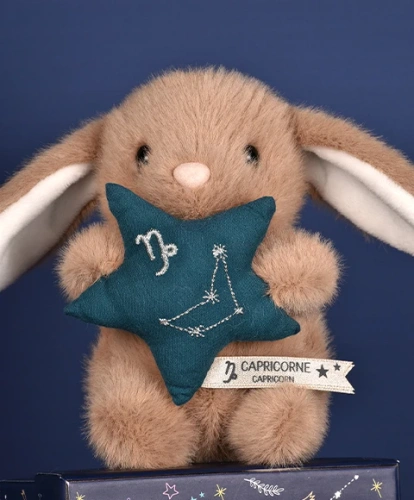 DOUDOU – DOUDOU ASTRO plush rabbit with zodiac sign, Doudou et Compagnie, 12 cm, Capricorn