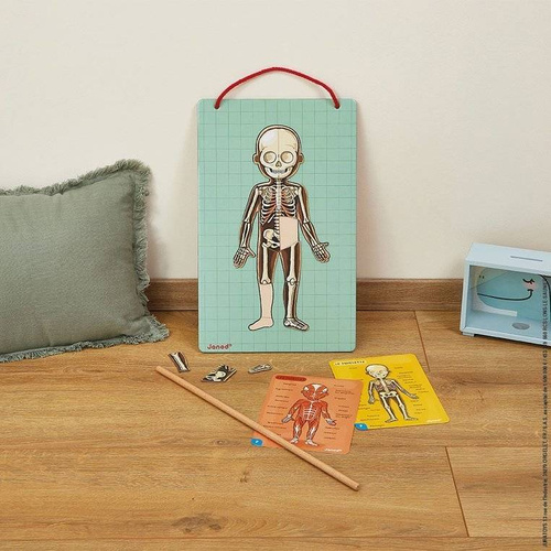 Janod - The magnetic puzzle Human body