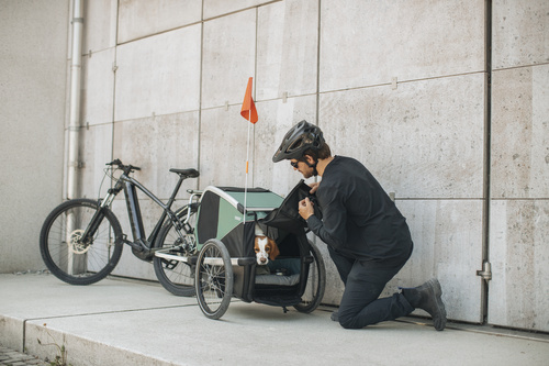 Bicycle trailer for a dog - Thule Bexey L up to 45 kg - Haze green