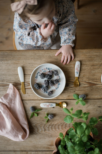 Elodie Details - Silicone Plate Set - Blue Garden