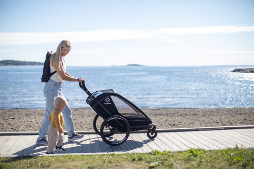 Hamax - Bike trailer for kids BREEZE, double- Back