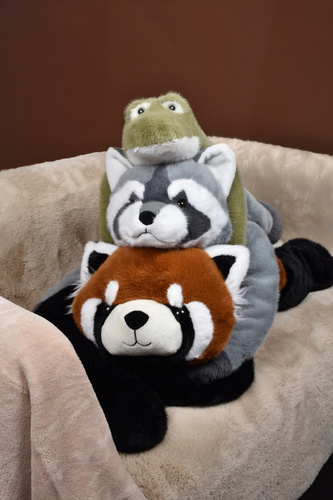 DOUDOU – Podcoll weighted plush raccoon, Histoire d'Ours, 75 cm, grey
