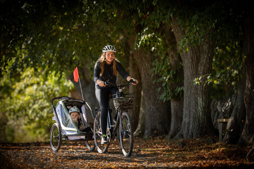 Hamax - Bike trailer for kids BREEZE + Jogger wheel, double - White/green