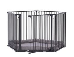 BabyDan - Carl Pentagon, black