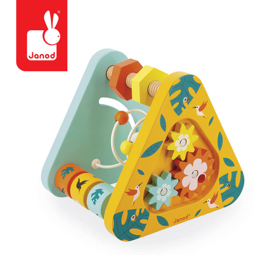 Janod - Multifunctional triangle Tropic 12m +