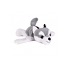 pies husky