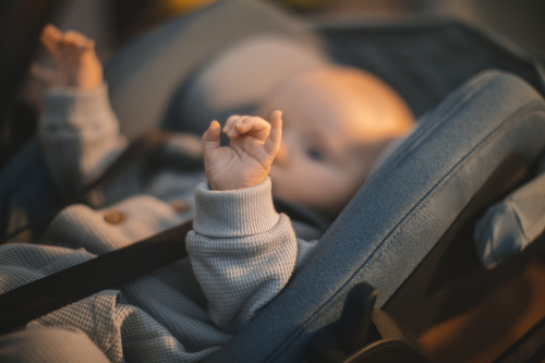 Thule - Maple - Infant car seat - Mid Blue