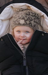 ELODIE DETAILS - Stroller Footmuff, Black