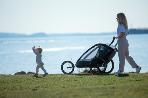 Hamax - Bike trailer for kids COCOON , double- Grey/black