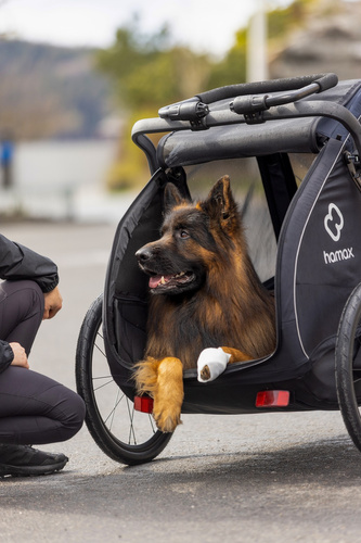 Bicycle trailer for a dog - Hamax Pluto L 45 kg - Blue / Black