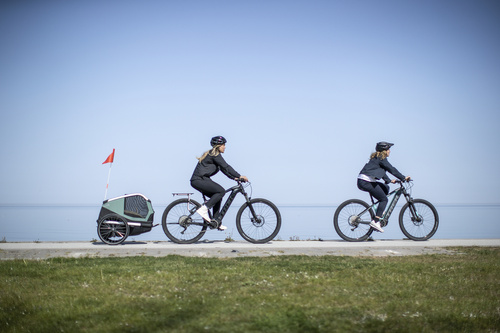 Bicycle trailer for a dog - Thule Bexey L up to 45 kg - Haze green